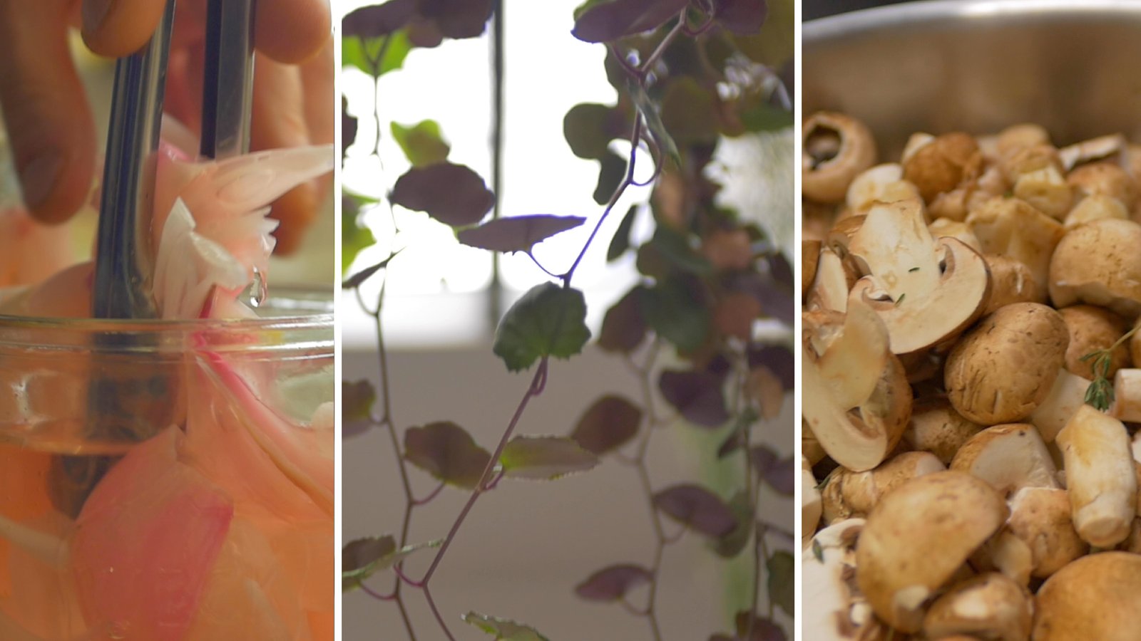 Achi — Eco-Responsibility and Dining